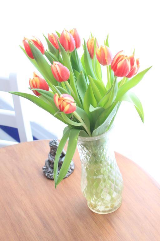 Frühstückspension Tulip Of 3*